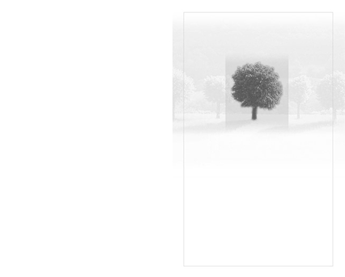 SE TA Baum mit Bäumen - Karte: 185 mm x 230 mm, edel-weiß, Motiv - Hülle: 120 mm x 191 mm, edel-weiß, mit Seidenfutter