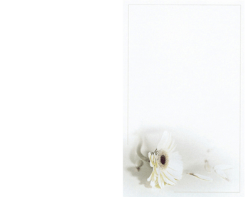 SE TA  - Karte: 185 mm x 230 mm, edel-weiß, Motiv Hülle: 120 mm x 191 mm, edel-weiß, mit Seidenfutter