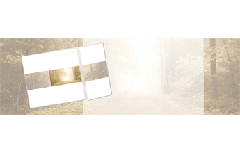 Altar-Doppeltlangkarten, Waldweg, sehr feiner, fotorealistischer Druck auf creme-weißem Papier mit abgestimmten Innendruck, Altarfalz asymetrisch 2/3 zu 1/3