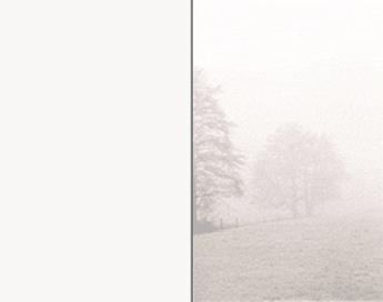 SE TZ Bäume im Nebel - Karte: 110 mm x 140 mm, edel-weiß, Motiv