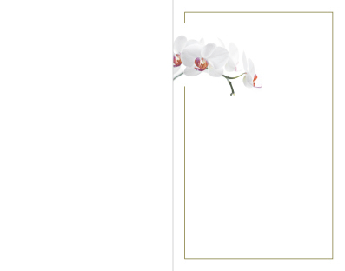 SE TZ Orchidee - Karte: 110 mm x 140 mm, creme-weiß, Untergrundbild